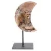 Pink Amethyst Specimen - Moon On Stand -Akumu Ink Shop 30222033 02 55048.1663246432