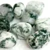 Tree Agate Tumbled Stone -Akumu Ink Shop G GEM159 2 66547.1656781069