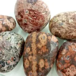 Lepord Skin Jasper Tumbled Stone